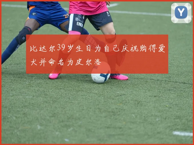 比达尔39岁生日为自己庆祝购得爱犬并命名为皮尔洛